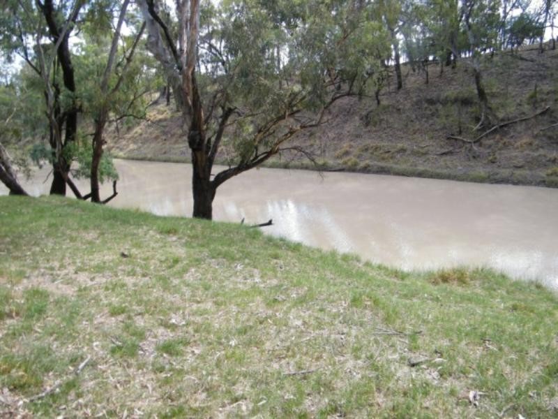 706 Healy’s Crossing Road, Brigalow QLD 4412