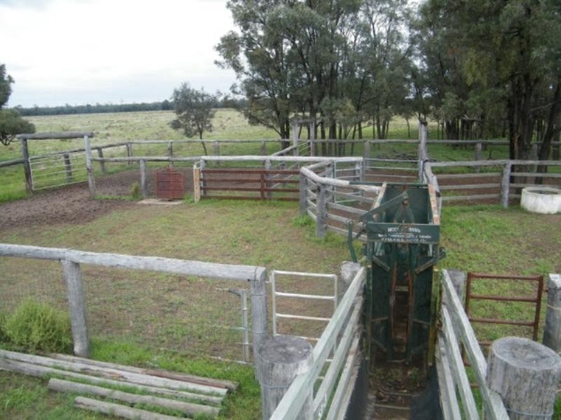 Lot 6 Pelican Back Road, Burncluith QLD 4413