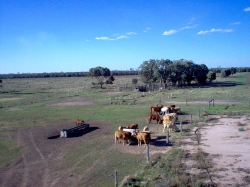 Lot 6 Pelican Back Road, Burncluith QLD 4413