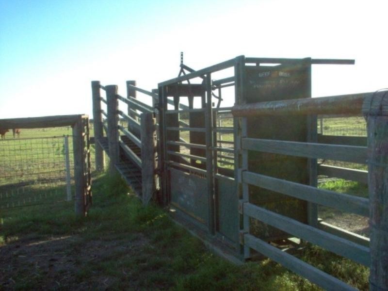 Lot 6 Pelican Back Road, Burncluith QLD 4413