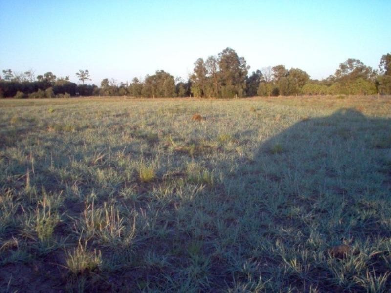 Lot 6 Pelican Back Road, Burncluith QLD 4413