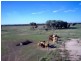 Lot 6 Pelican Back Road, Burncluith QLD 4413