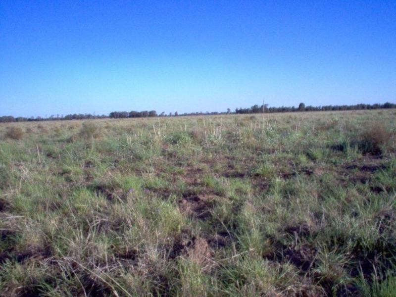 Lot 6 Pelican Back Road, Burncluith QLD 4413