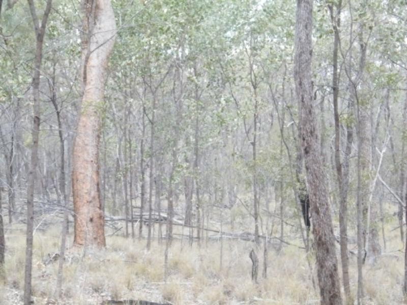 Lot 14 Milkyway Road, Chinchilla QLD 4413