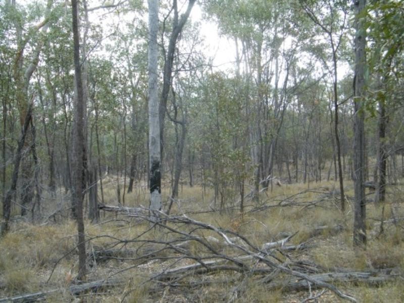 Lot 14 Milkyway Road, Chinchilla QLD 4413