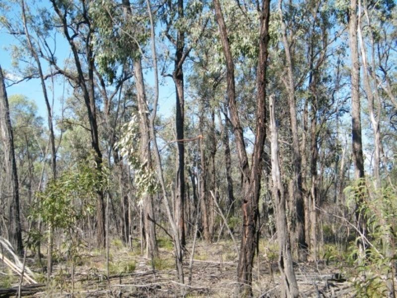 Lot 11 Wieambilla Road, Wieambilla QLD 4413