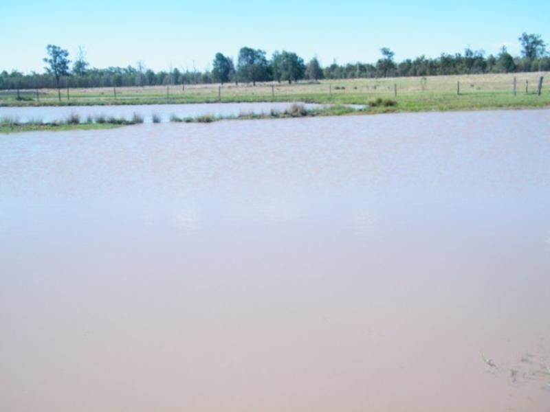 1213 Cameby Road, Chinchilla QLD 4413