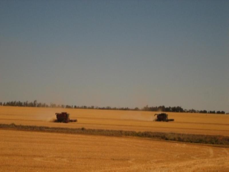 .406 Chances Plains Road, Chinchilla QLD 4413