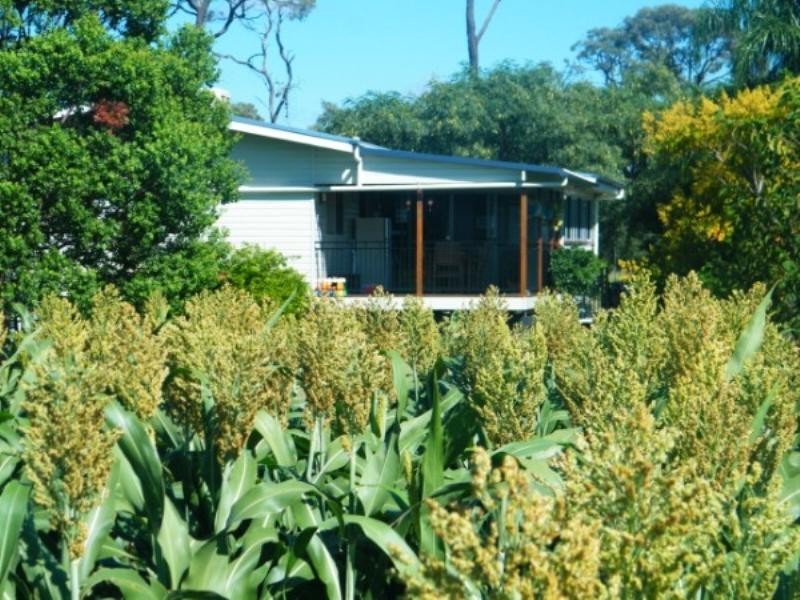 .406 Chances Plains Road, Chinchilla QLD 4413