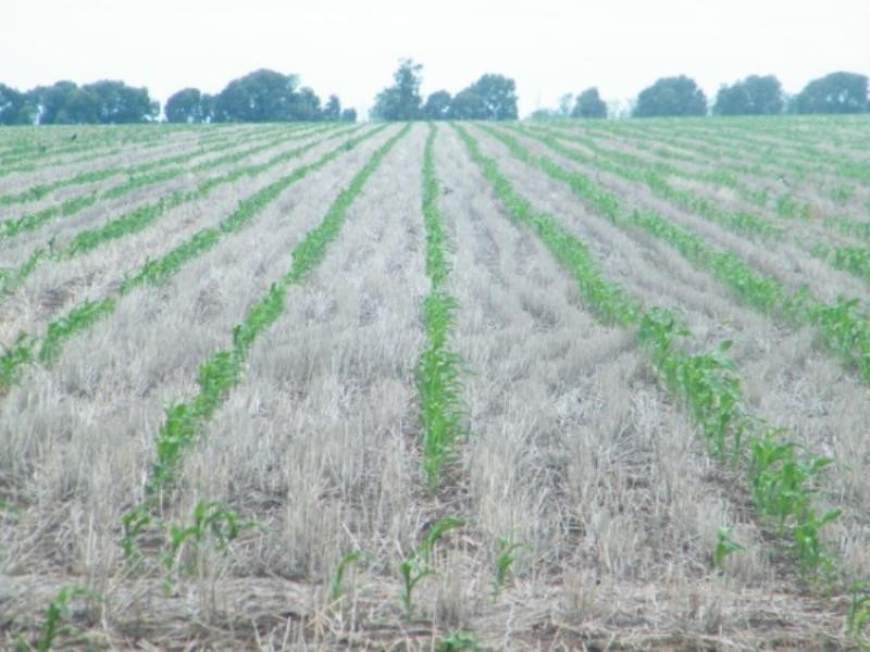 .406 Chances Plains Road, Chinchilla QLD 4413