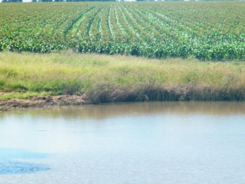 .406 Chances Plains Road, Chinchilla QLD 4413