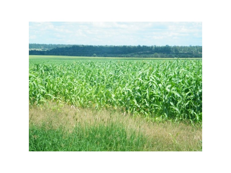 . Keams Road, Drillham QLD 4424