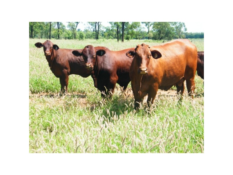 . Keams Road, Drillham QLD 4424