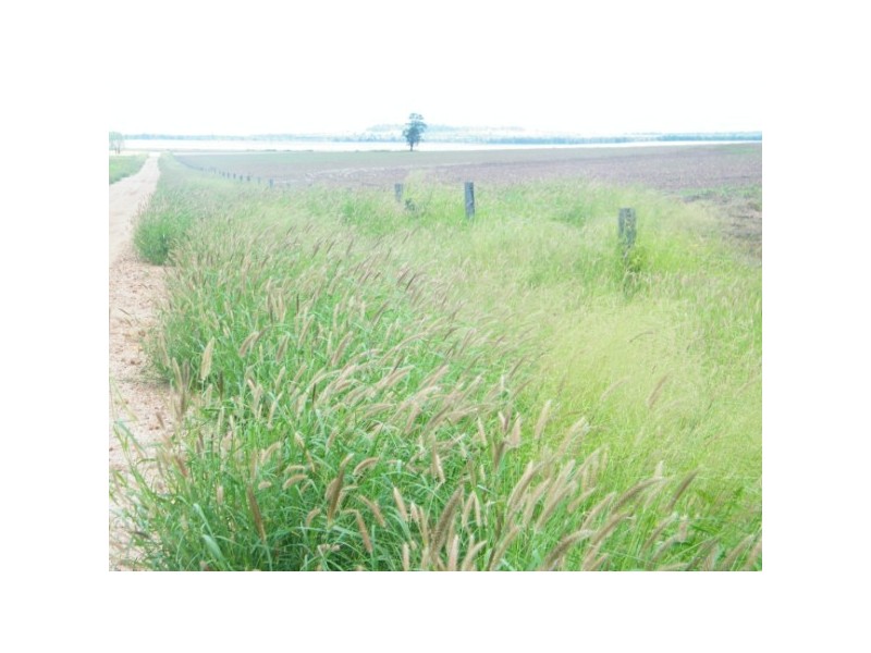 . Keams Road, Drillham QLD 4424