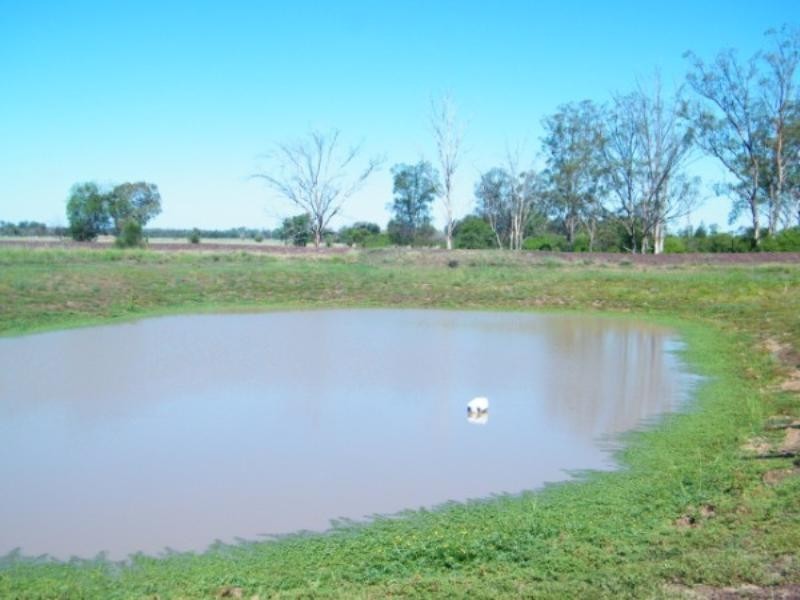 668 Redhill Road, Chinchilla QLD 4413