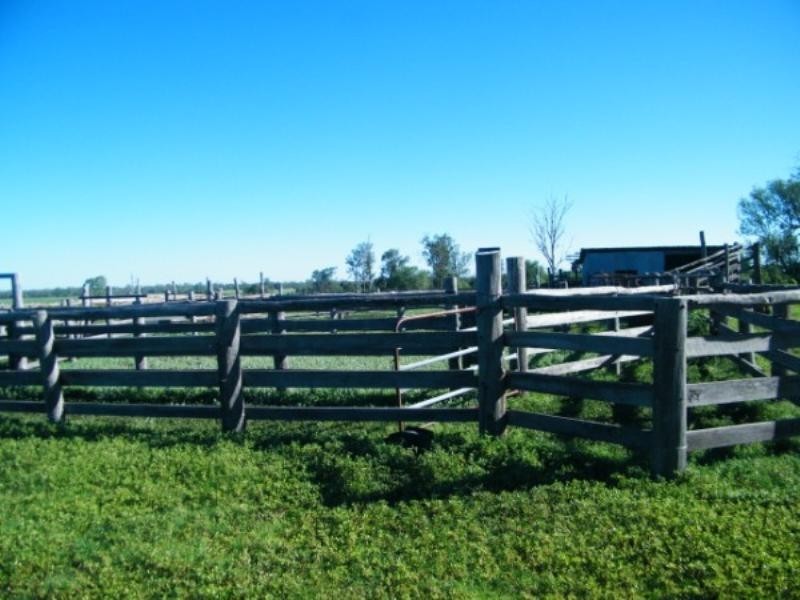 668 Redhill Road, Chinchilla QLD 4413