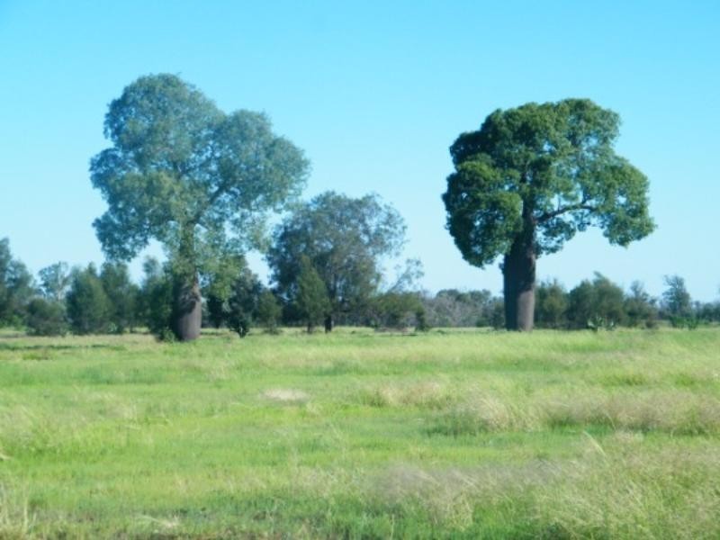 Lot 92 Redhill Road, Chinchilla QLD 4413