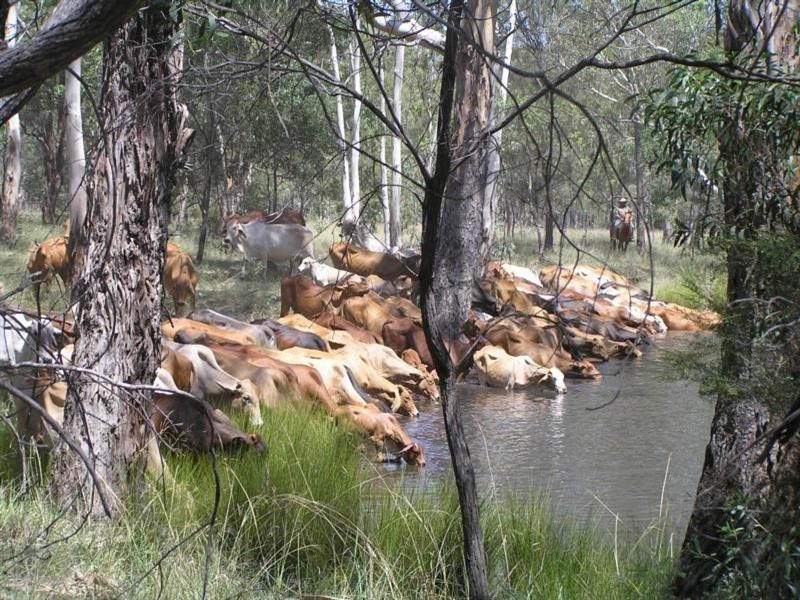 . Durah Road, Chinchilla QLD 4413