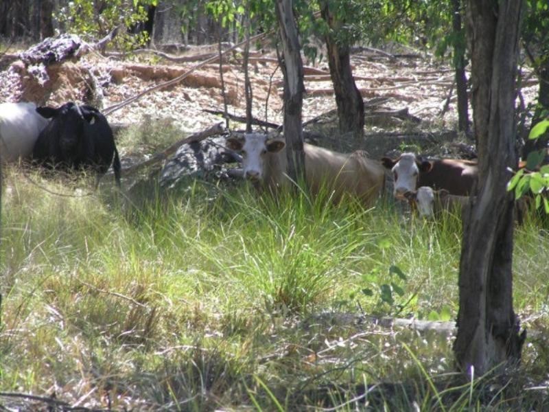 . Durah Road, Chinchilla QLD 4413