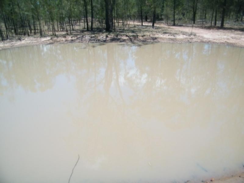 181 Kookaburra Drive, Tara QLD 4421