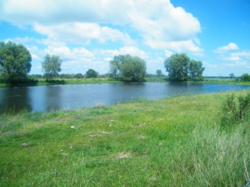 364 Windmill Road, Chinchilla QLD 4413