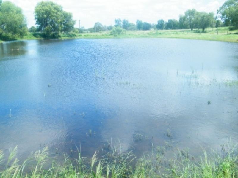 364 Windmill Road, Chinchilla QLD 4413