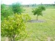 272 Aerodrome Road, Chinchilla QLD 4413