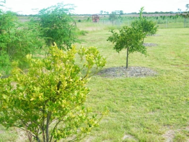 272 Aerodrome Road, Chinchilla QLD 4413