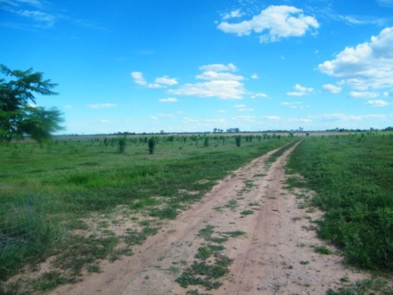 272 Aerodrome Road, Chinchilla QLD 4413