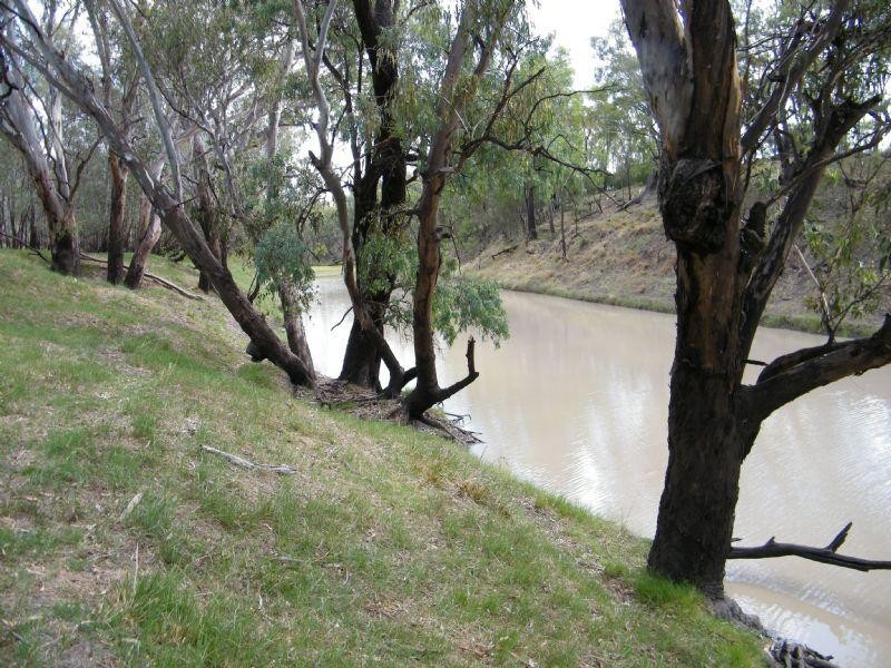 706 Healy’s Crossing Road, Brigalow QLD 4412