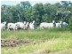 706 Healy’s Crossing Road, Brigalow QLD 4412