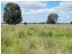 706 Healy’s Crossing Road, Brigalow QLD 4412
