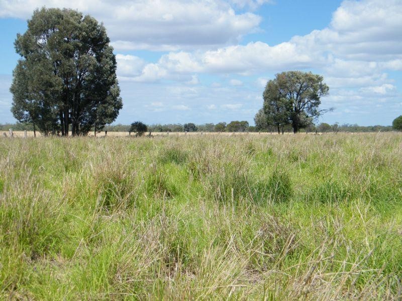 706 Healy’s Crossing Road, Brigalow QLD 4412