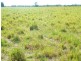706 Healy’s Crossing Road, Brigalow QLD 4412