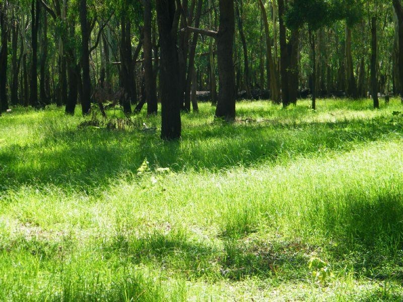 706 Healy’s Crossing Road, Brigalow QLD 4412