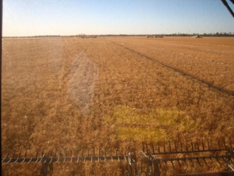 Lot 38 Chances Plains Road, Chinchilla QLD 4413