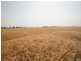 Lot 38 Chances Plains Road, Chinchilla QLD 4413