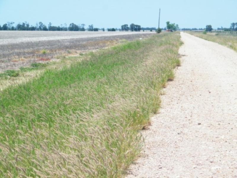 Lot 38 Chances Plains Road, Chinchilla QLD 4413