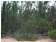 Lot 9 Treasures Road, Chinchilla QLD 4413