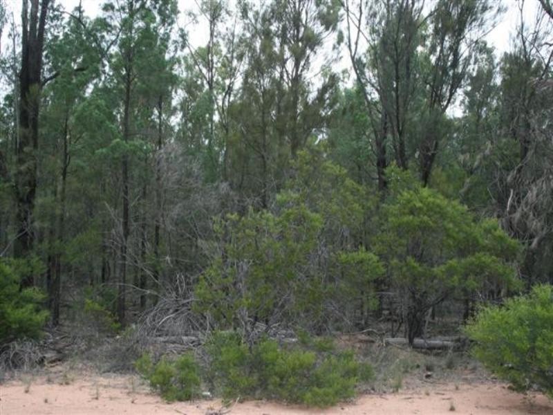 Lot 9 Treasures Road, Chinchilla QLD 4413