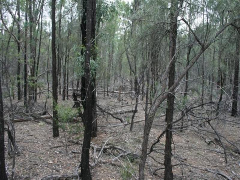 Lot 9 Treasures Road, Chinchilla QLD 4413