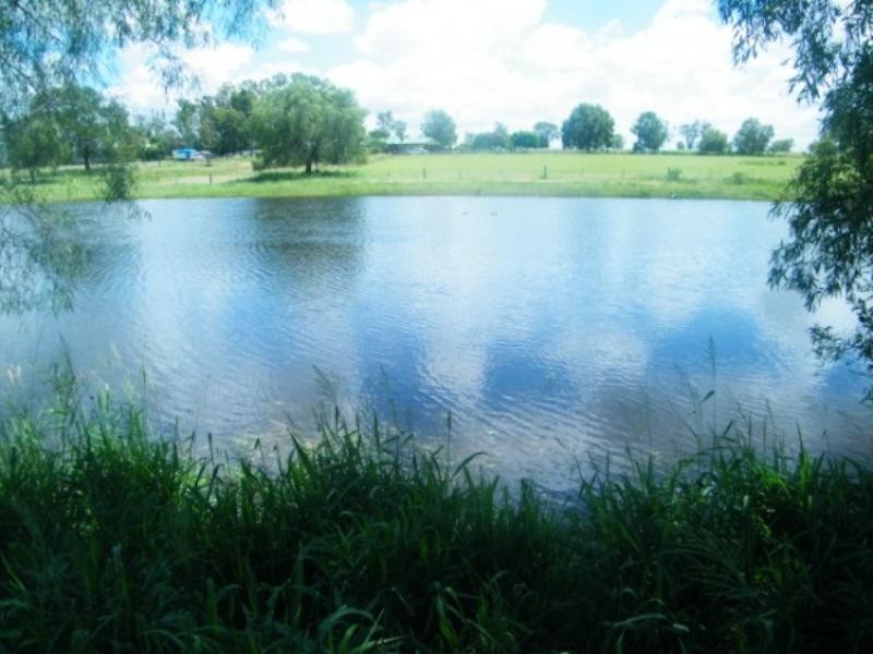 364 Windmill Road, Chinchilla QLD 4413