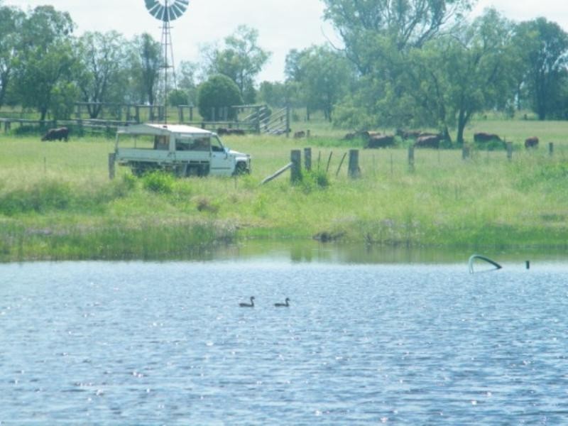 364 Windmill Road, Chinchilla QLD 4413