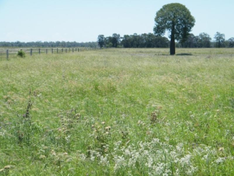 WATERCOURSE Chinchilla-Wondai Road, Chinchilla QLD 4413