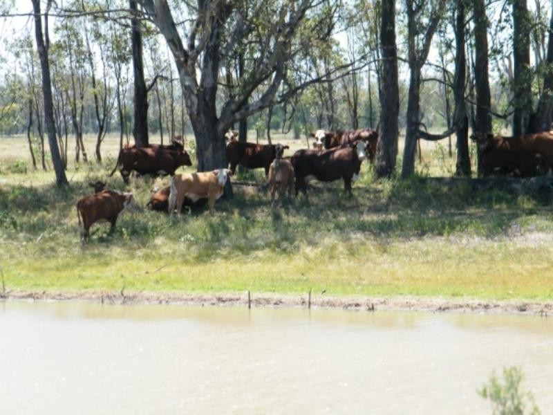 WATERCOURSE Chinchilla-Wondai Road, Chinchilla QLD 4413