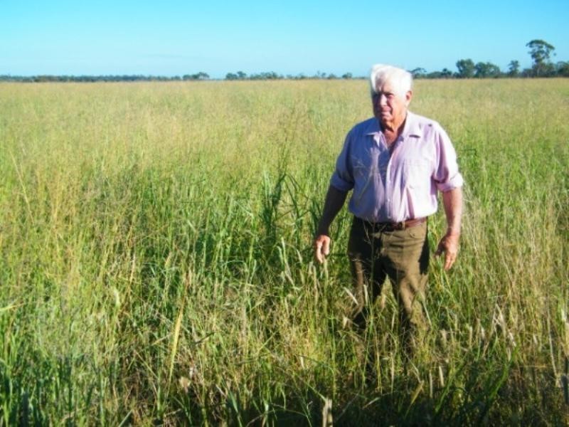 RETREAT Banana Bridge Road, Brigalow QLD 4412