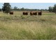 Chinchilla QLD 4413