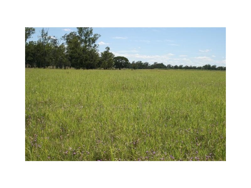 Chinchilla QLD 4413