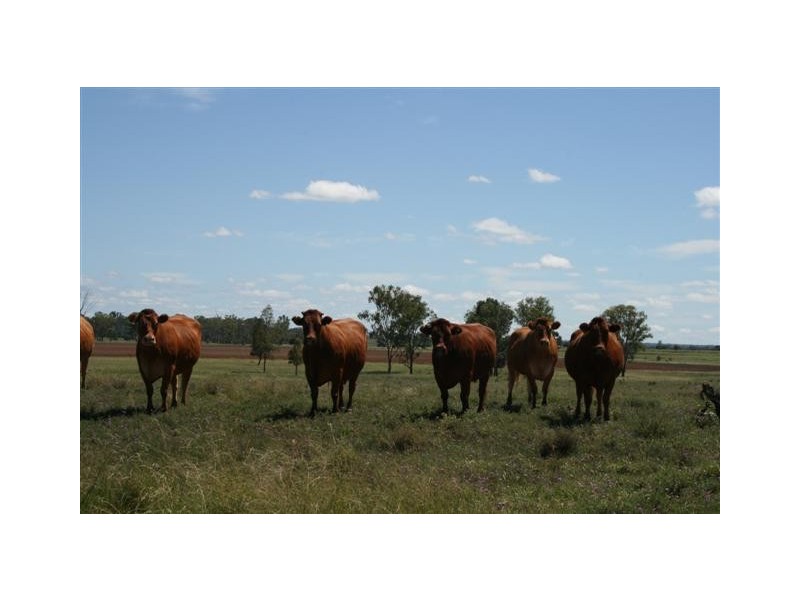 Chinchilla QLD 4413