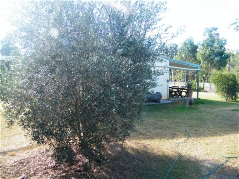 419 Surcingle Road, Chinchilla QLD 4413
